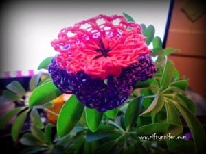 Funky Flower Fridays Week 10 by Jennifer Gregory of Niftynnifer's Crochet & Crafts