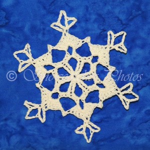 Shady Cove Snowflake ~ Snowcatcher