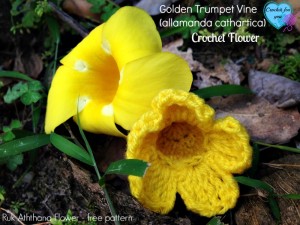 Golden Trumpet Vine ~ Erangi Udeshika - Crochet For You