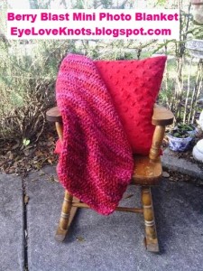 Berry Blast Mini Photo Blanket ~ Alexandra Richards - EyeLoveKnots