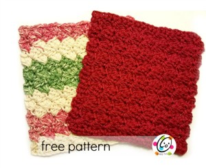 Scalloped Wash Cloth ~ Snappy Tots