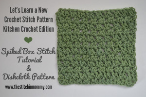 Spiked Box Stitch Tutorial and Dishcloth by The Stitchin' Mommy