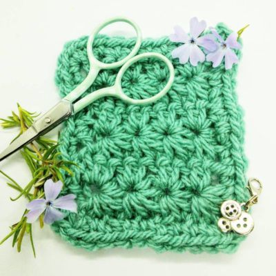 Star Stitch Step-by-Step by Crochet Cloudberry