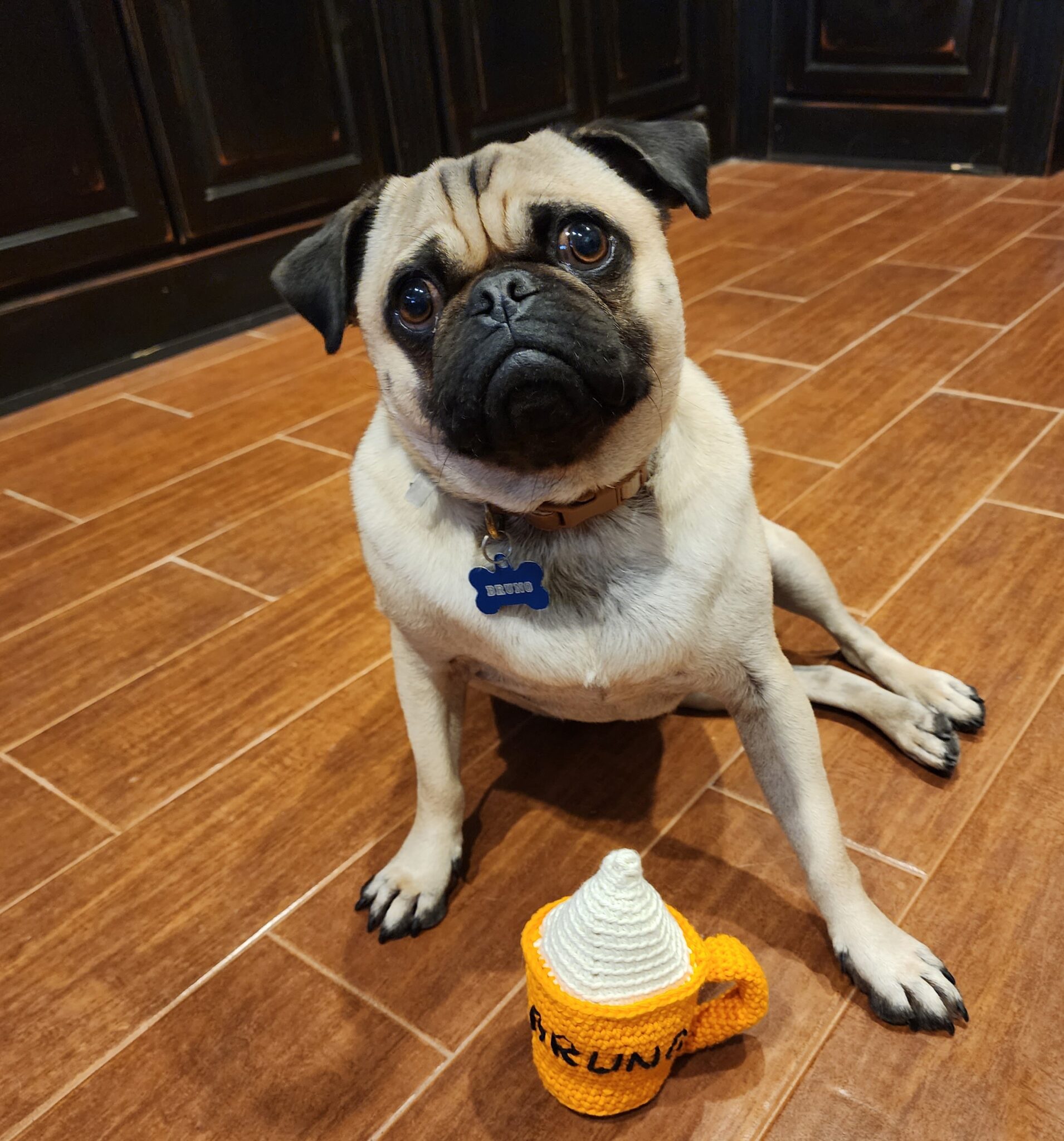 This Popular Spice Is Harming Your Dog – Find Out How! - 7yir9ln