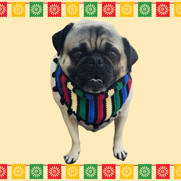 Cinco de Mayo Pet Bandana