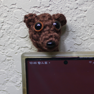 Teddy Bear Mobile Pet by Lisa Ferrel/My Fingers Fly