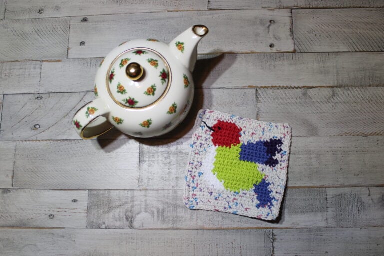 Hummingbird Coaster