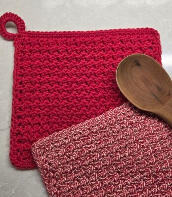 Let It Slide Dishcloth by Carol Hladik Designs