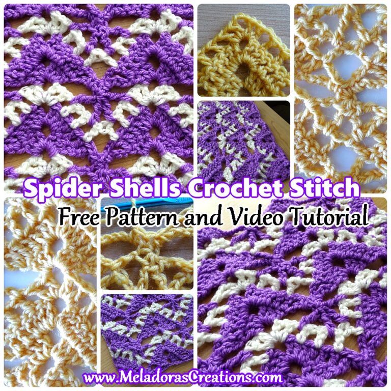 Spider Stitch and Shells Crochet Stitch